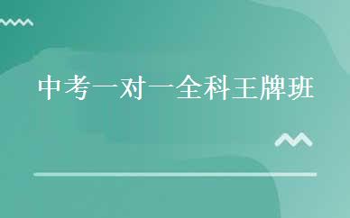中考一对一全科王牌班  