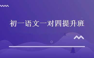 初一语文一对四提升班 