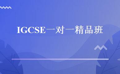 IGCSE一对一精品班 