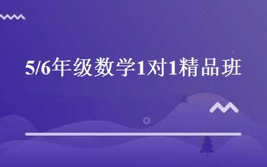 5/6年级数学1对1精品班 
