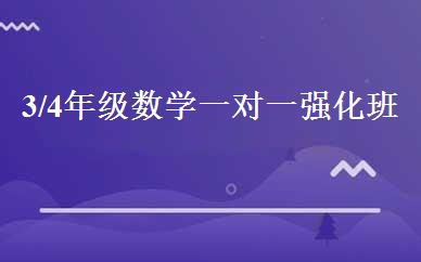 3/4年级数学一对一强化班 