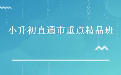 小升初直通市重点精品班 