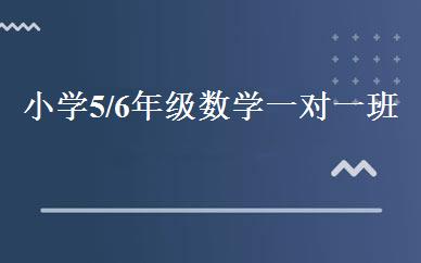 小学5/6年级数学一对一班 