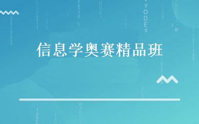 信息学奥赛精品班 