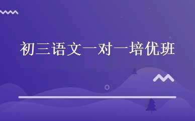 初三语文一对一培优班 