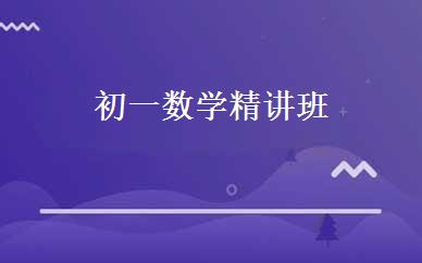 初一数学精讲班 