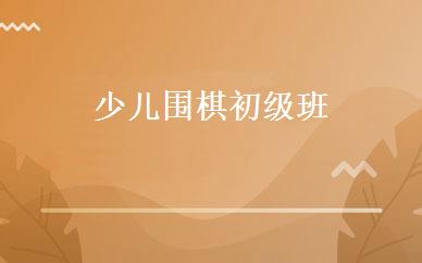 少儿围棋初级班 