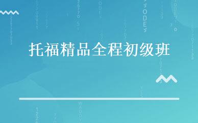 托福精品全程初级班 