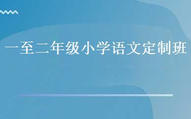 一至二年级小学语文定制班 