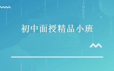 初中面授精品小班 