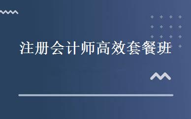注册会计师高效套餐班 
