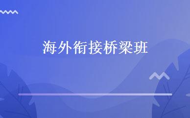 海外衔接桥梁班 