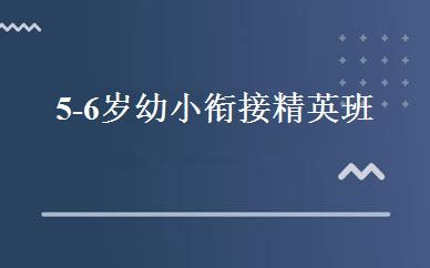 5-6岁幼小衔接精英班 