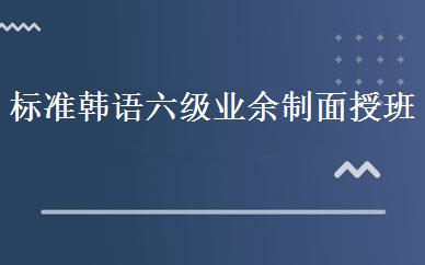 标准韩语六级业余制面授班 