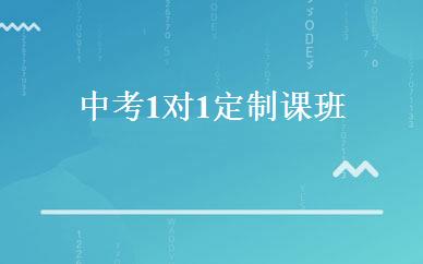 中考1对1定制课班 