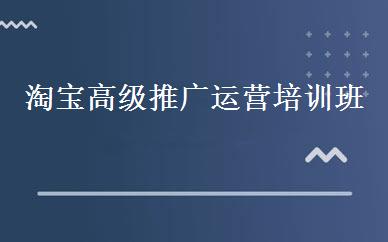 淘宝高级推广运营培训班 
