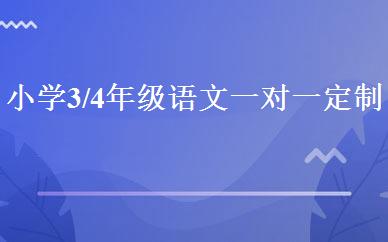 小学3/4年级语文一对一定制精品班 