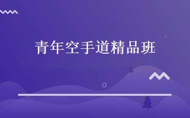 青年空手道精品班 