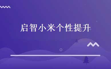 启智小米个性提升 