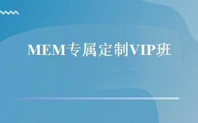 MEM专属定制VIP班 