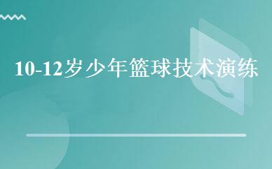 10-12岁少年篮球技术演练班 