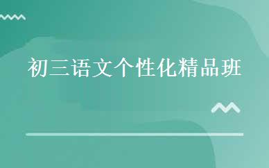 初三语文个性化精品班 