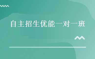 自主招生优能一对一班 