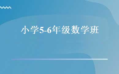 小学5-6年级数学班 