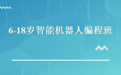 6-18岁智能机器人编程班 