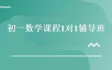 初一数学课程1对1辅导班 