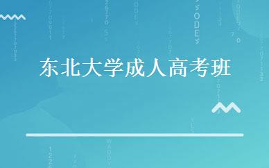 东北大学成人高考班 
