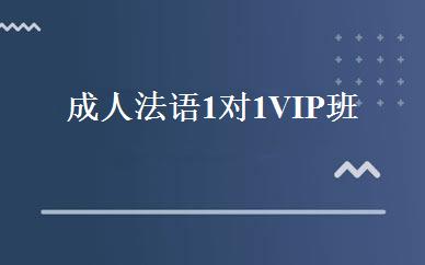 成人法语1对1VIP班 