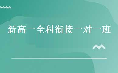 新高一全科衔接一对一班 
