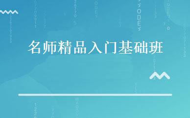 名师精品入门基础班 