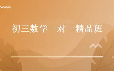 初三数学一对一精品班 