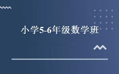 小学5-6年级数学班 