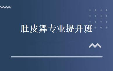 肚皮舞专业提升班 
