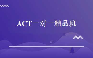 ACT一对一精品班 