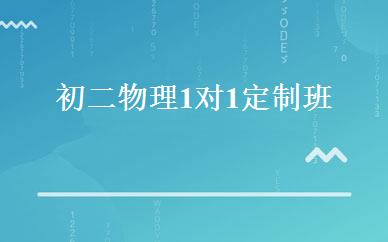 初二物理1对1定制班 