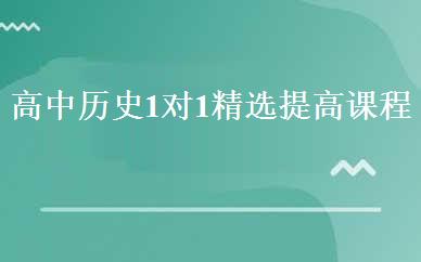 高中历史1对1精选提高课程 