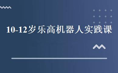 10-12岁乐高机器人实践课班 