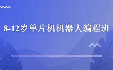 广东小学辅导哪家好,多少钱_8-12岁单片机机器人编程班 _深圳乐博乐博机器人教育