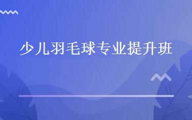 少儿羽毛球专业提升班 