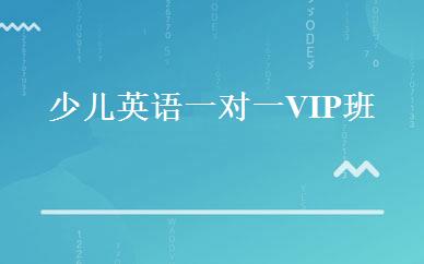 少儿英语一对一VIP班 