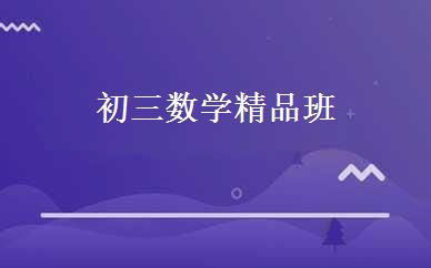 初三数学精品班 