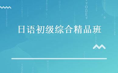 日语初级综合精品班 