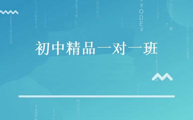 初中精品一对一班 