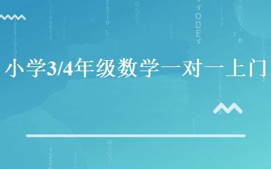 小学3/4年级数学一对一上门家教特训班 