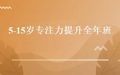 5-15岁专注力提升全年班 