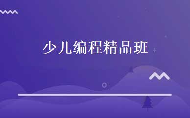 少儿编程精品班 